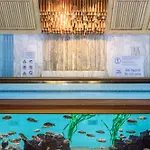 Hilton Hotel